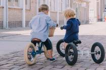 draisienne-tricycle-tribike