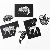 cartes-images-bebe-animaux-tropicaux-wee-gallery