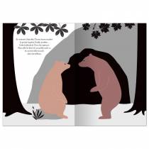 les-jolis-livres-illustres-emilie-vast