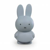 craquez-pour-ce-bleu-argente-de-la-tirelire-miffy-warm