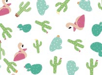 Ae ae ae Cactus et Flamants roses