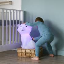 Adorable lampe veilleuse cesar à adopter