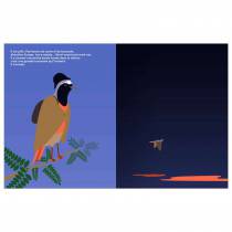 illustrations-poetiques-rouge-queue-editions-memo
