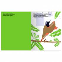 editions-memo-quatre-histoires-oiseaux