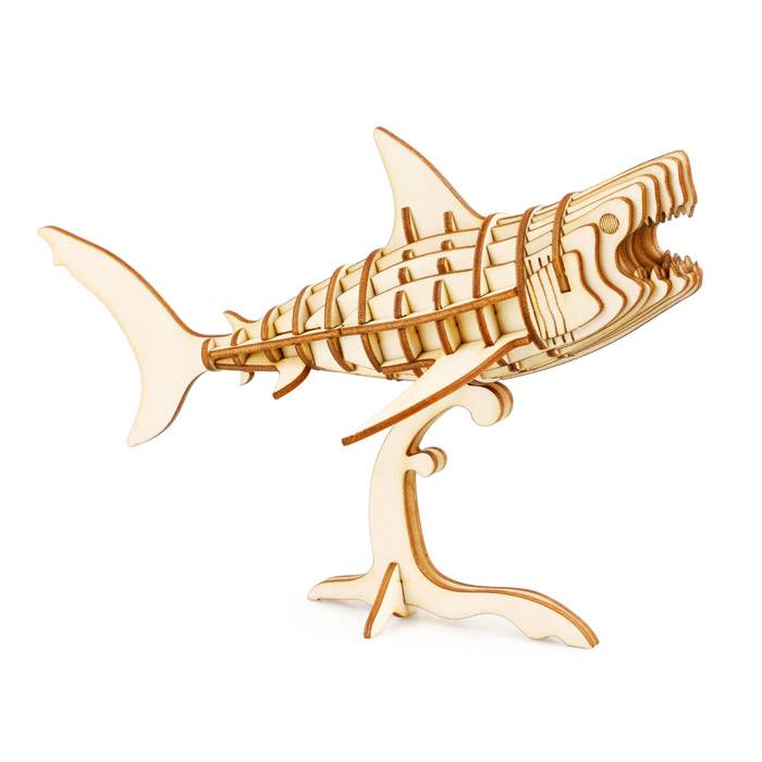 Maquette 3D - Requin
