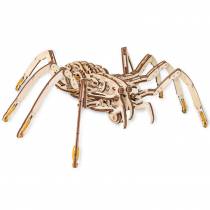 ewa-spider-maquette-3d-en-bois