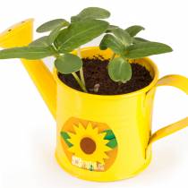 Mini arrosoir Jaune graine de Tournesol - Radis et Capucine