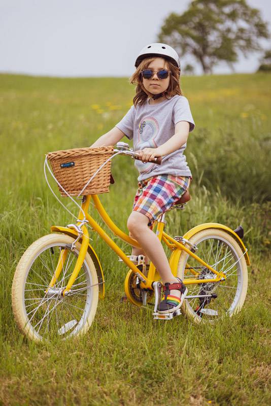 Vélo bleu pour enfant de 6 à 9 ans Bobbin Gingersnap 20 pouces