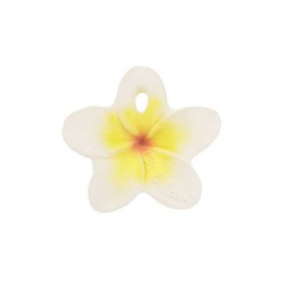 chewy-to-go-fleur-hawaienne-oli-and-carol