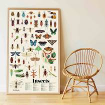 poster-sticker-poppik-insectes