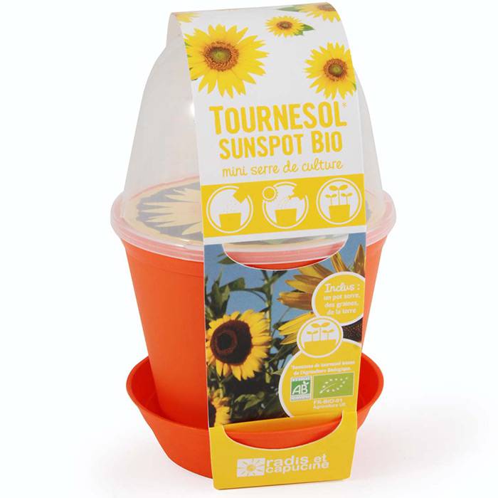 Pot cloche Tournesol Radis et Capucine