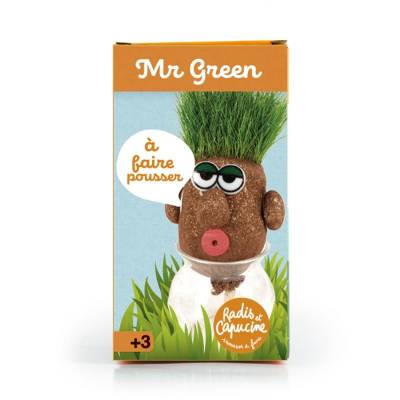 Mr Green - tête à pousser avec graines de gazon – La picorette