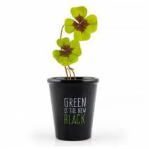 green-is-the-new-black-trefle-4-feuilles