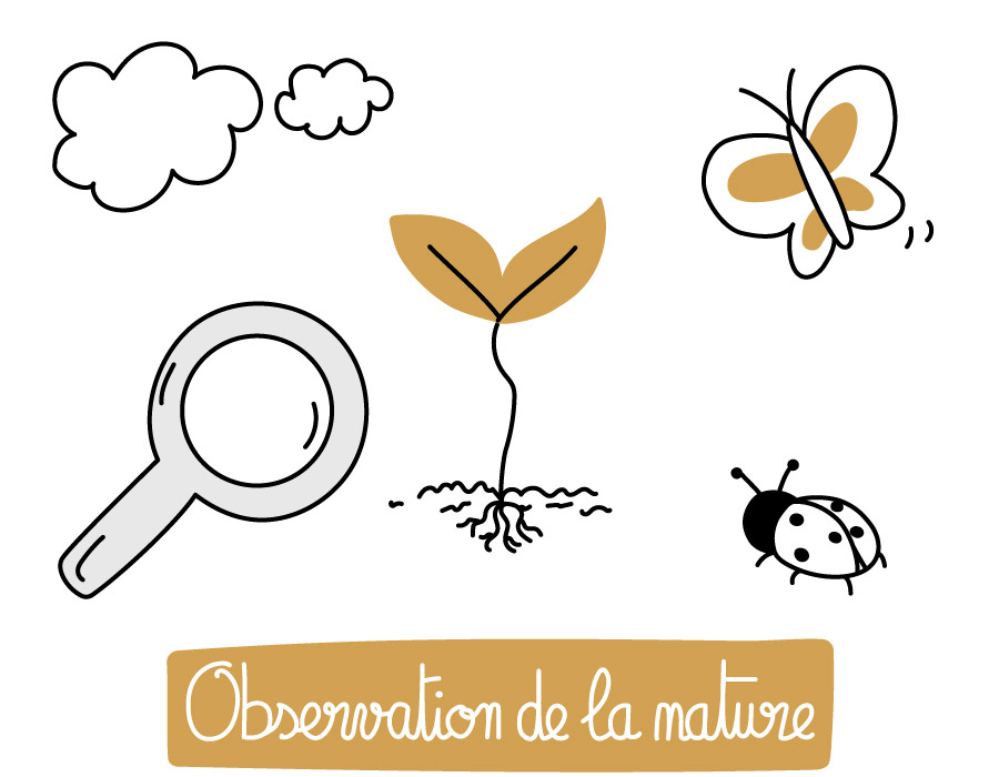 Observation de la nature