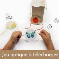 thaumatrope-jeu-optique-telecharger