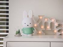 tirelire-blanc-vert-miffy