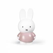 tirelire-atelier-pierre-lapin-miffy-rose