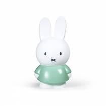 tirelire-miffy-pantalon-vert-atelier-pierre