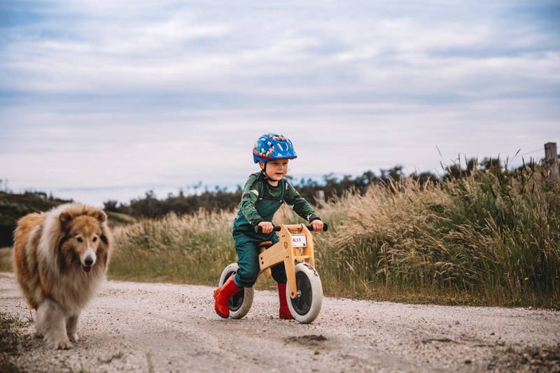 Draisienne en bois enfant évolutive 3en1 + Vélo évolutif en bois